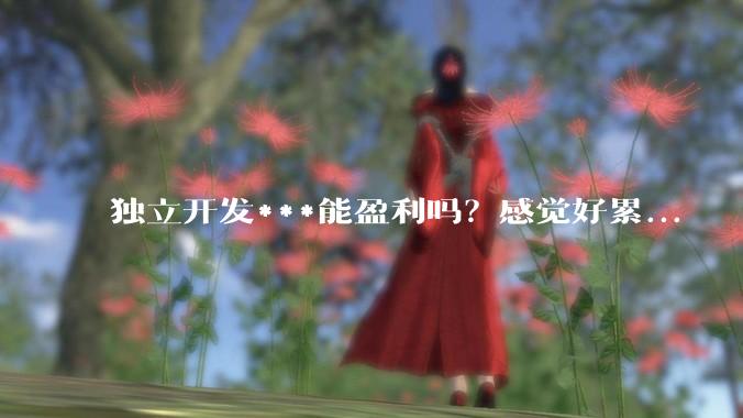 独立开发***能盈利吗？感觉好累...