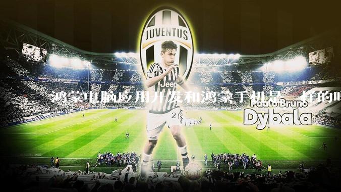 鸿蒙电脑应用开发和鸿蒙手机是一样的吗？