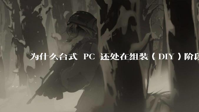 为什么台式 PC 还处在组装（DIY）阶段？