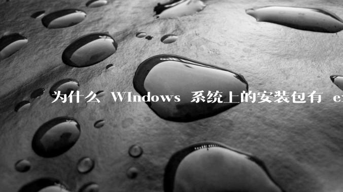 为什么 Windows 系统上的安装包有 exe 和 msi 两种格式，有什么区别？