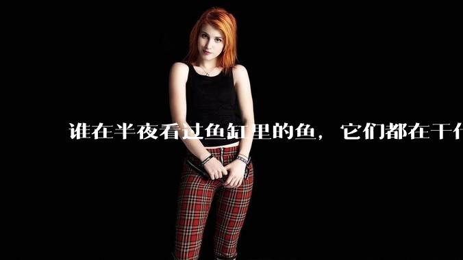 谁在半夜看过鱼缸里的鱼，它们都在干什么？