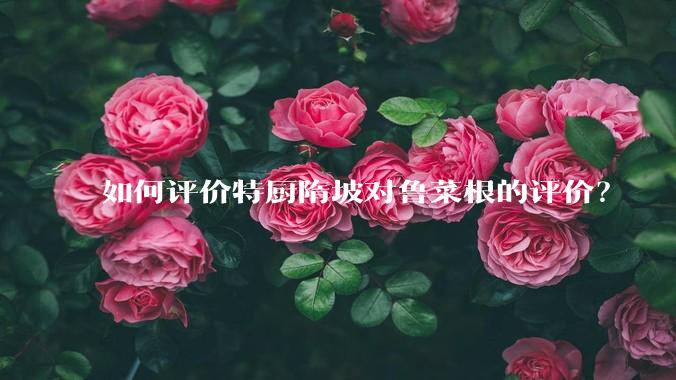 如何评价特厨隋坡对鲁菜根的评价？