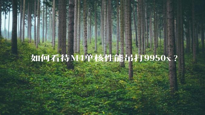 如何看待M4单核性能吊打9950x?