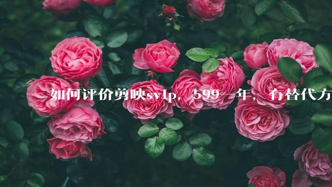 如何评价剪映svip，599一年，有替代方案吗？