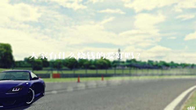 大家有什么烧钱的爱好吗?