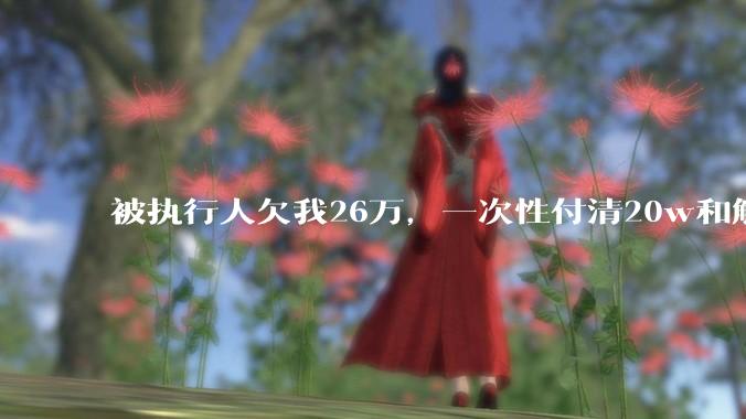 被执行人欠我26万，一次性付清20w和解，我该同意吗?