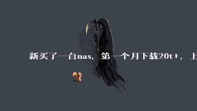 新买了一台nas，第一个月下载20t+，上传5+，不会被网警盯上吧?